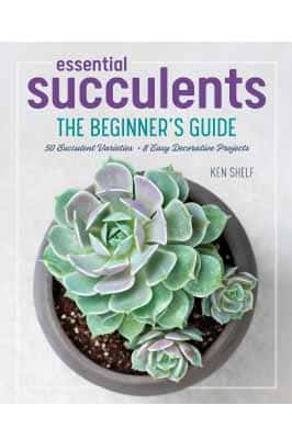 Essential Succulents: The Beginner's Guide